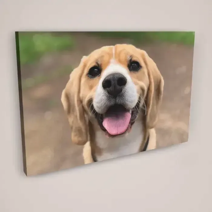 Canvas Prints